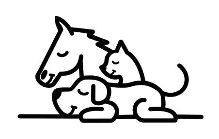 Emea Massage, massage animalier en Gironde