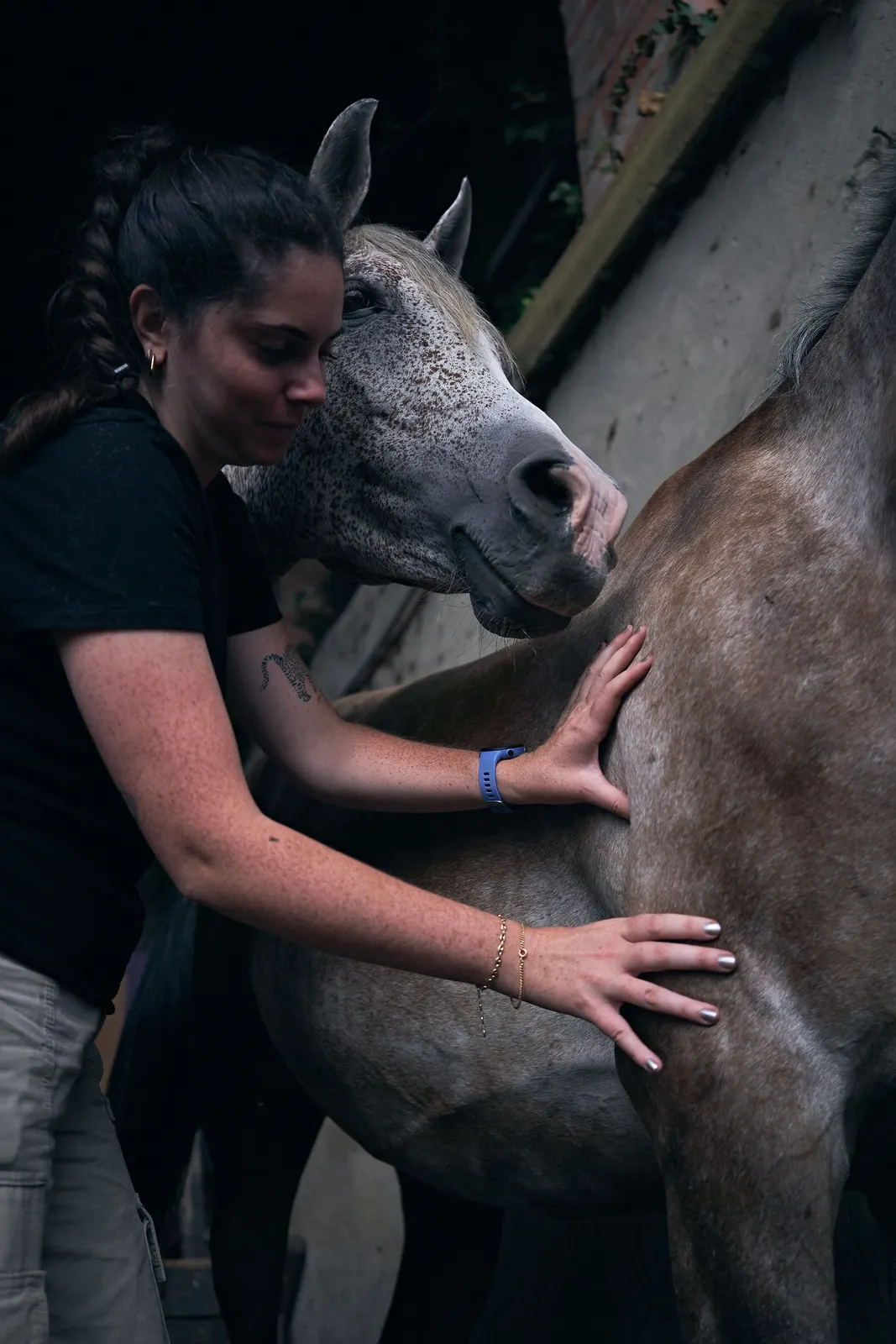 Le matériel et l'univers autour du massage animalier