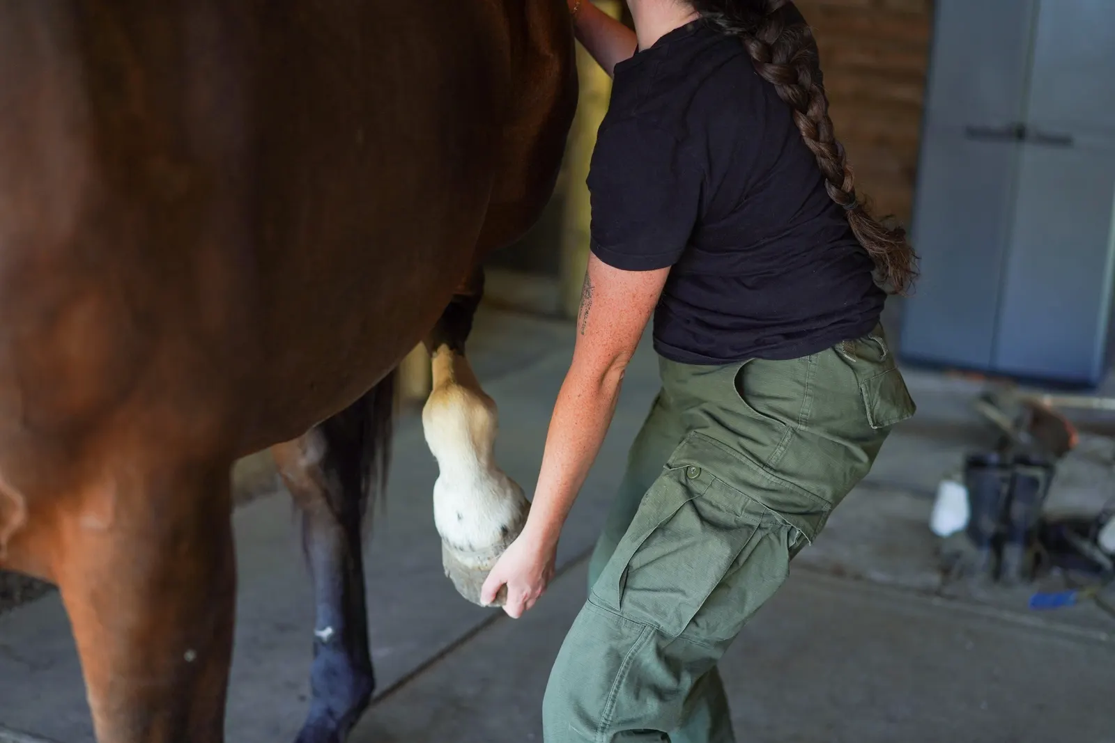 Étirement passif d'un cheval après l'effort