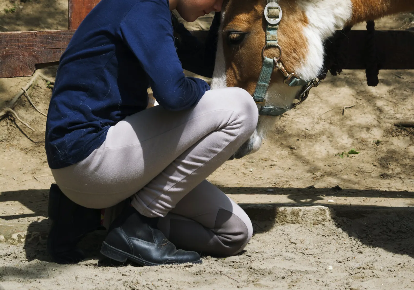Initiation au massage équin pour enfants dès 6 ans avec un poney