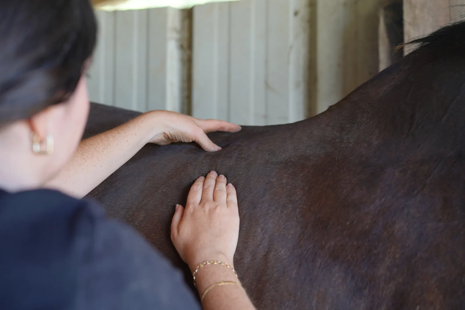 Séance de massage équin en écurie en Gironde