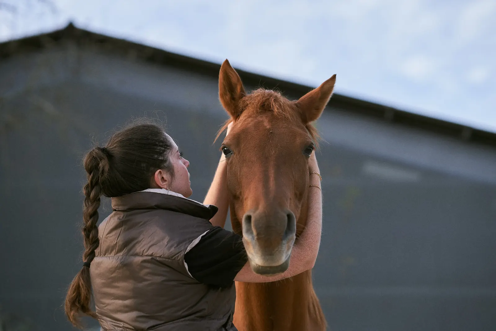 Massage du dos d'un cheval en écurie en Gironde